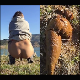 A German girl records herself pissing and shitting over the course of a week while on vacation in Spain. Mostly pissing scenes with 3 shitting scenes. Presented in 720P vertical HD format. 578MB, MP4 file. About 30 minutes.